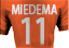 flags/miedema.png